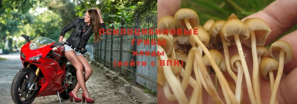 наркотики Ельня