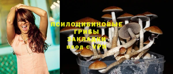 прущая мука Елизово